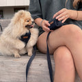 Midnight Denim - Poop Bag & Treat Holder
