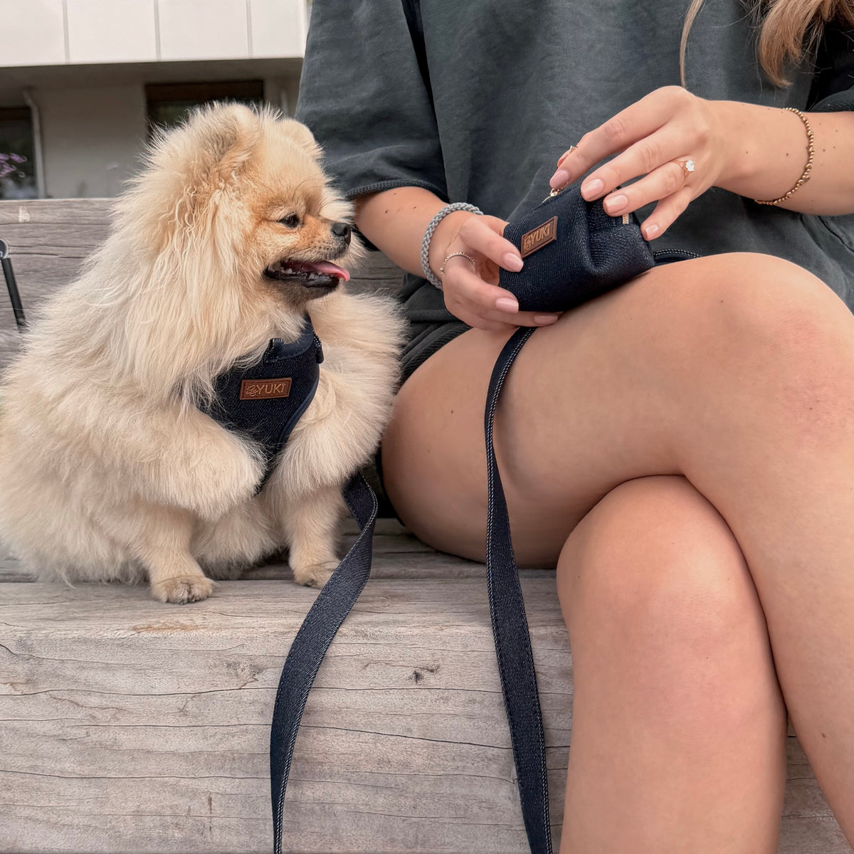 Midnight Denim - Poop Bag & Treat Holder