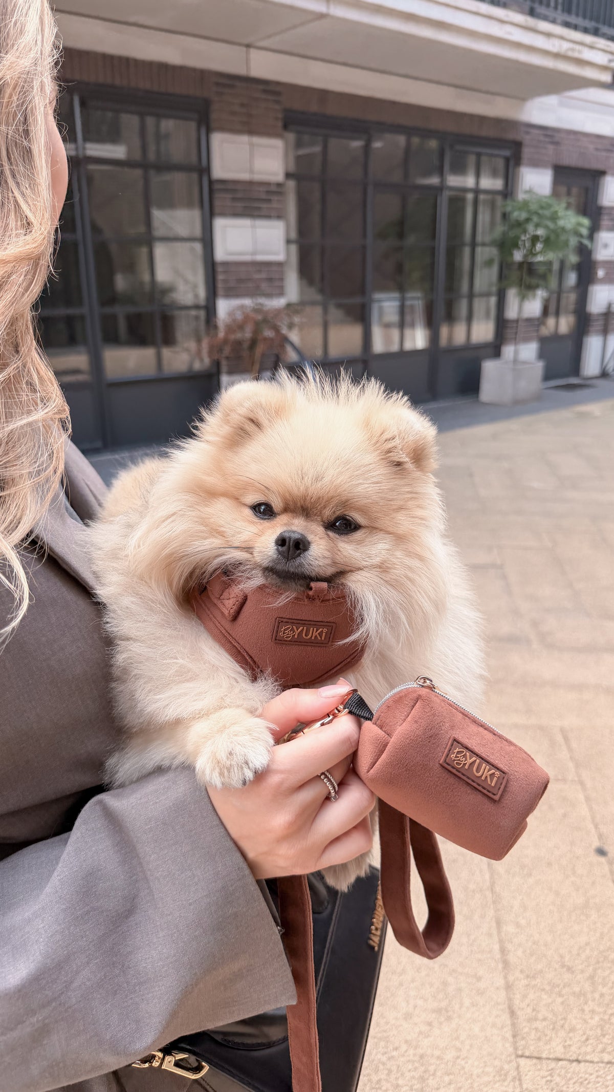 Cacao Velvet - Poop Bag & Treat Holder