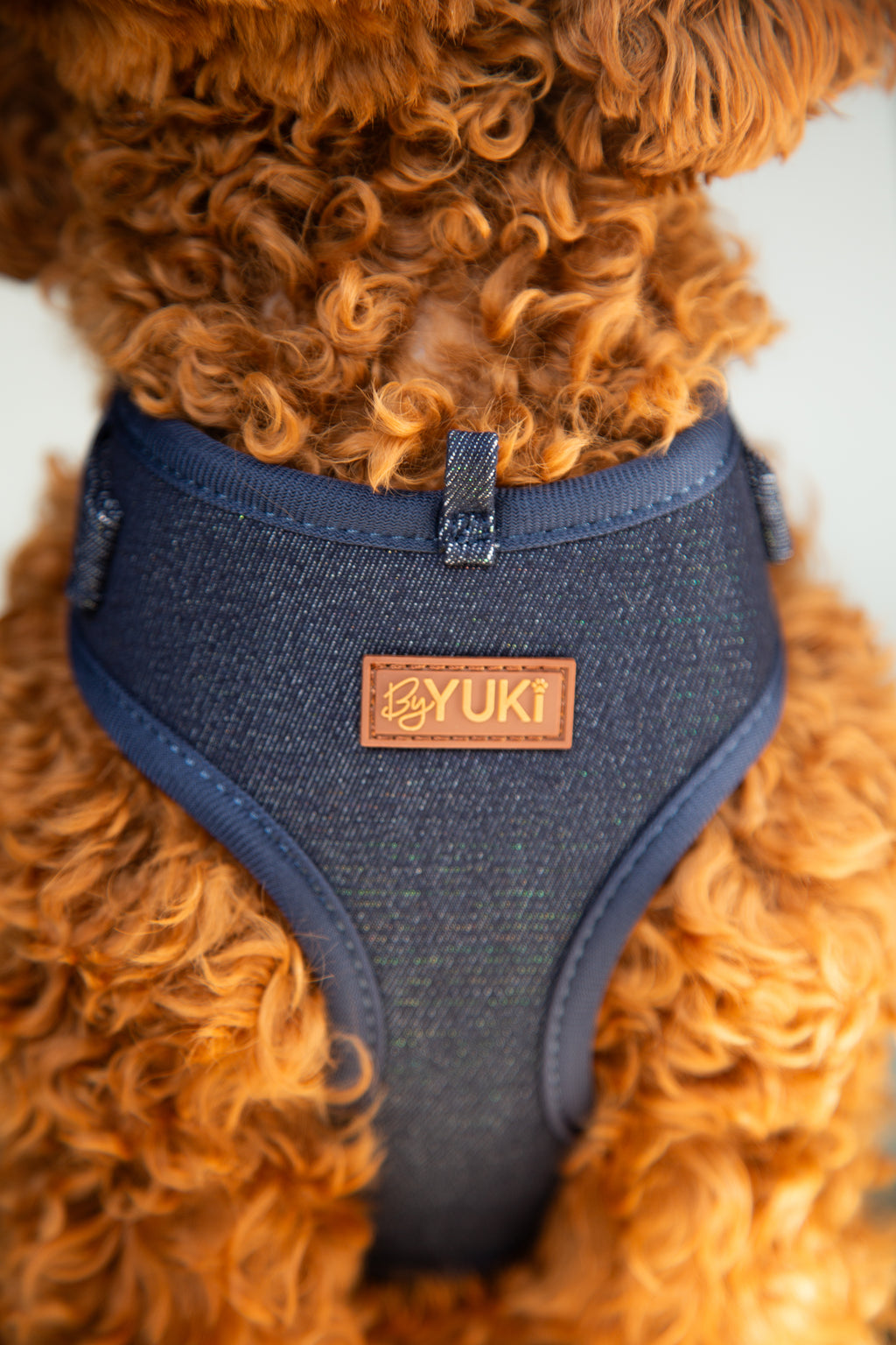Midnight Denim - Adjustable Harness