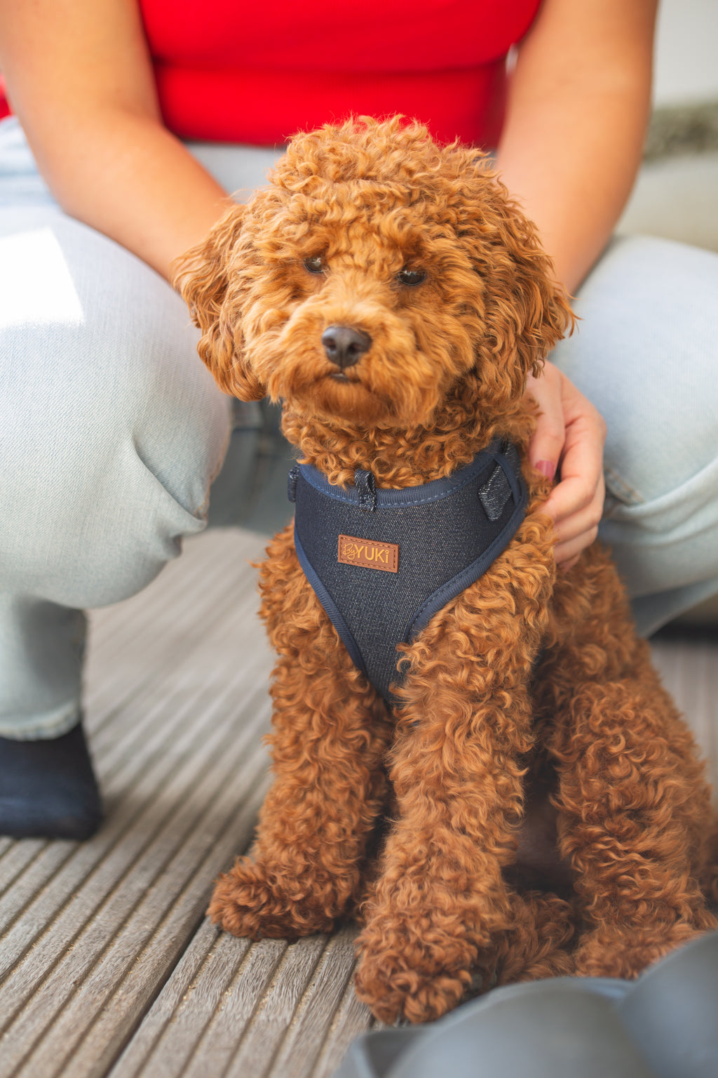 Midnight Denim - Adjustable Harness