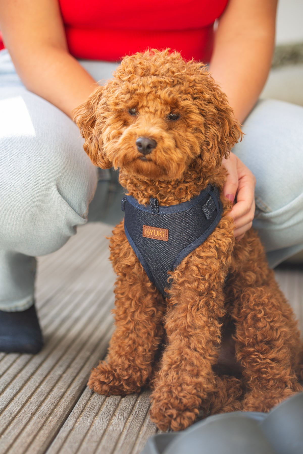 Midnight Denim - Adjustable Harness