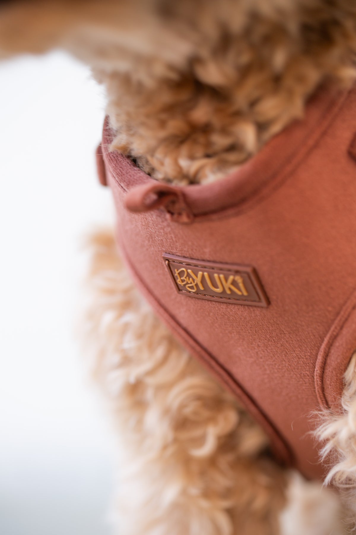 Cacao Velvet - Adjustable Harness