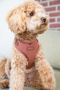 Cacao Velvet - Adjustable Harness