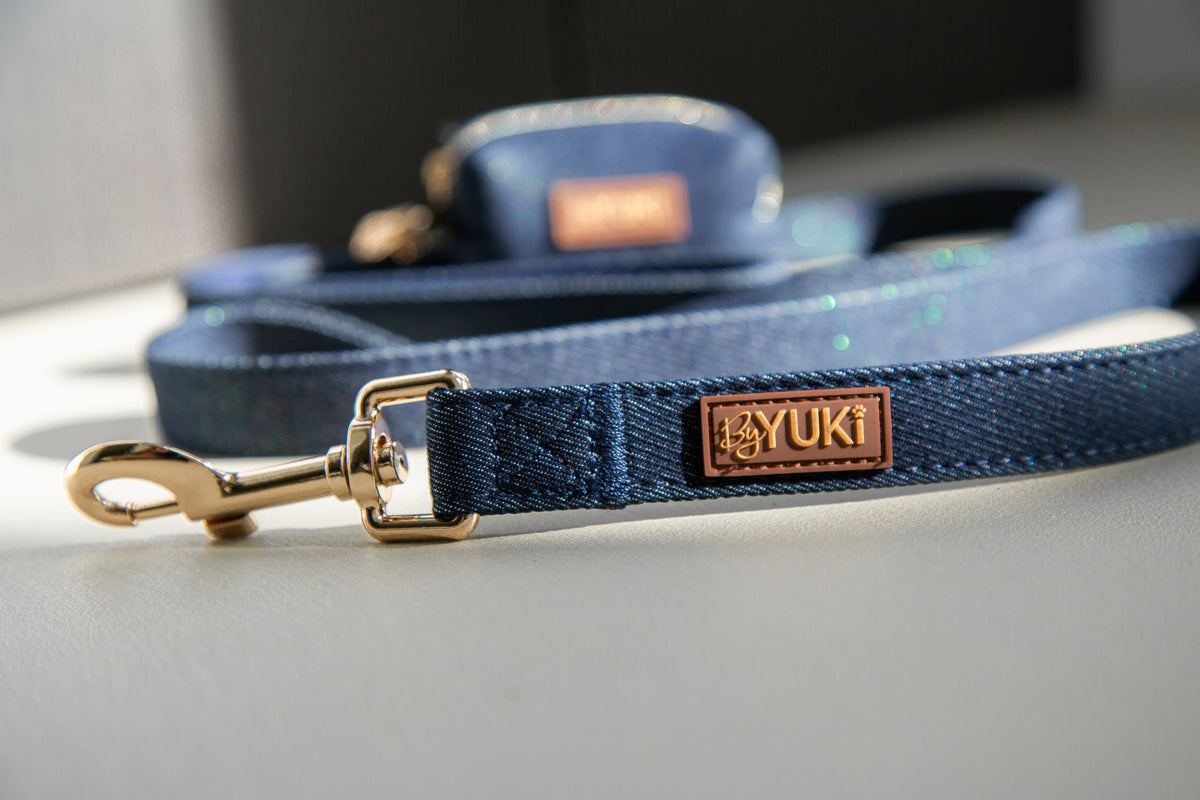 Midnight Denim - Leash