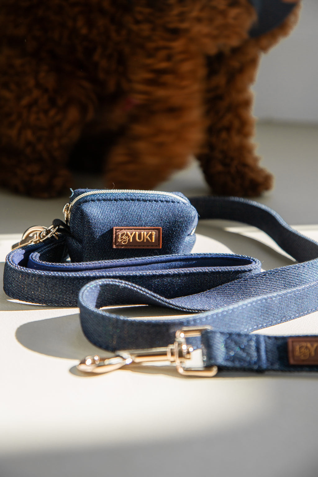 Midnight Denim - Poop Bag & Treat Holder