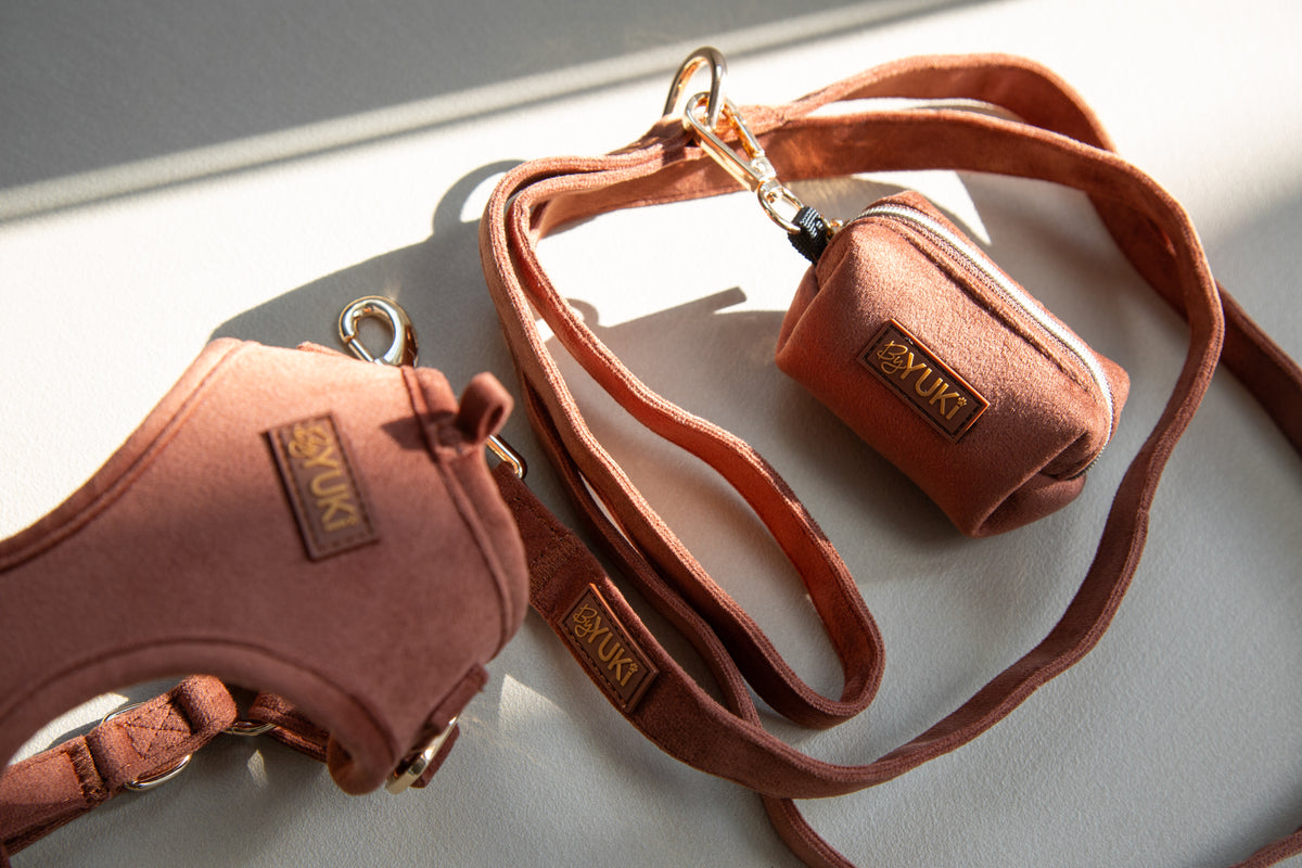 Cacao Velvet - Leash
