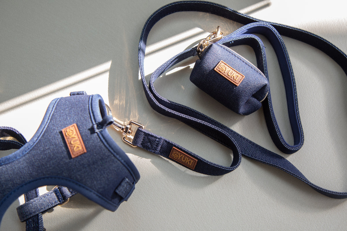 Midnight Denim - Leash