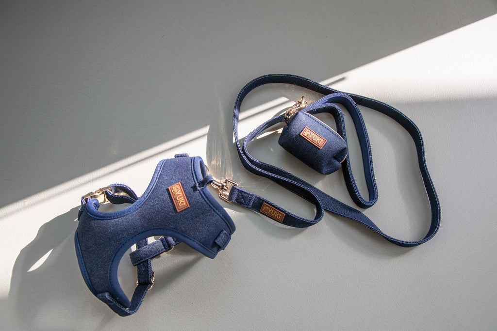 Midnight Denim Set (Harness + Leash)
